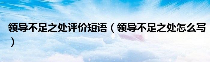 领导不足之处怎么写(领导不足之处评价短语)