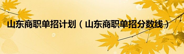 山东商职单招分数线(山东商职单招计划)