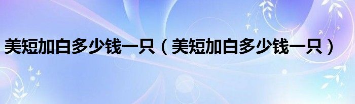 美短加白多少钱一只(美短加白多少钱一只)