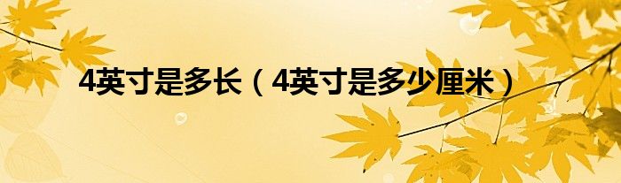 4英寸是多少厘米(4英寸是多长)