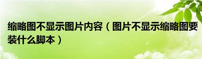 图片不显示缩略图要装什么脚本(缩略图不显示图片内容)
