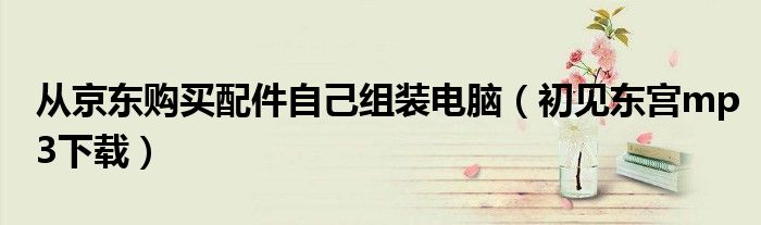 初见东宫mp3下载(从京东购买配件自己组装电脑)