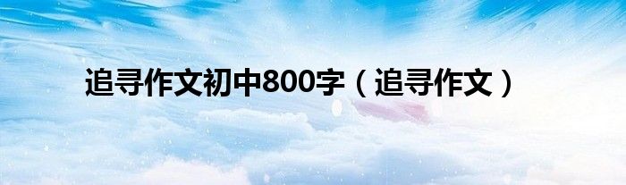 追寻作文(追寻作文初中800字)