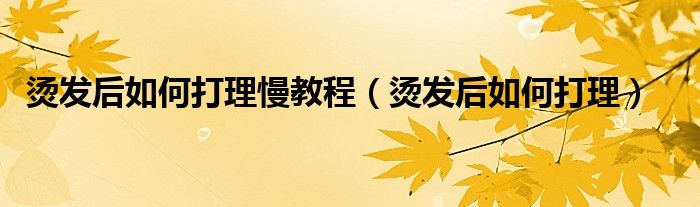烫发后如何打理(烫发后如何打理慢教程)