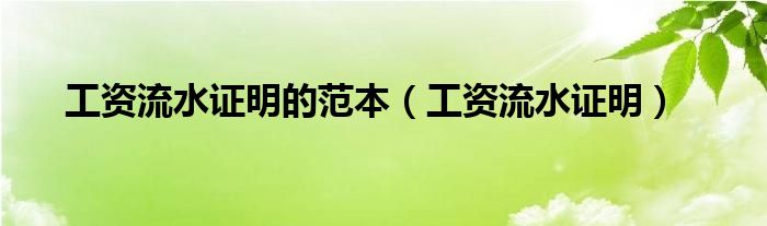工资流水证明(工资流水证明的范本)