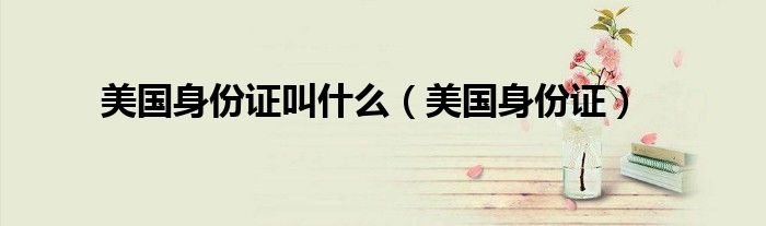 美国身份证(美国身份证叫什么)