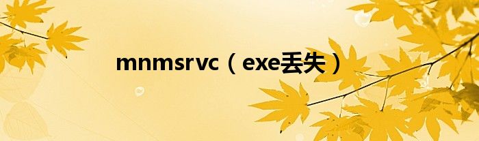 exe丢失(mnmsrvc)