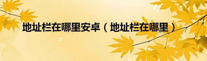 地址栏在哪里(地址栏在哪里安卓)