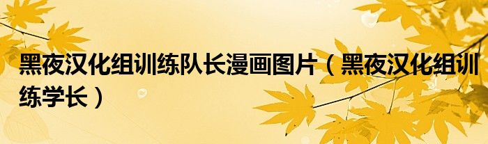 黑夜汉化组训练学长(黑夜汉化组训练队长漫画图片)