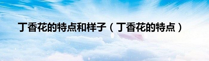 丁香花的特点(丁香花的特点和样子)