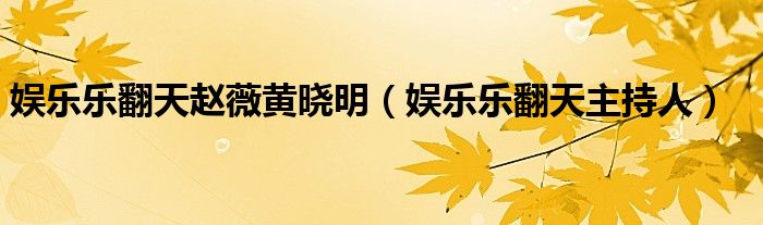 娱乐乐翻天主持人(娱乐乐翻天赵薇黄晓明)