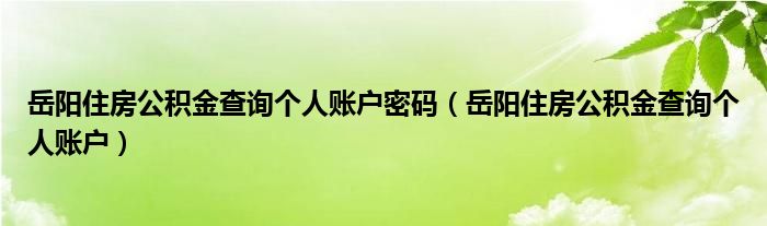 岳阳住房公积金查询个人账户(岳阳住房公积金查询个人账户密码)