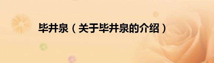 关于毕井泉的介绍(毕井泉)