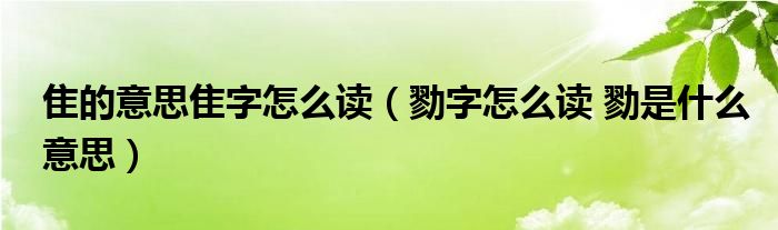 勠字怎么读 勠是什么意思(隹的意思隹字怎么读)