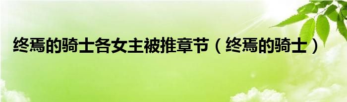 终焉的骑士(终焉的骑士各女主被推章节)