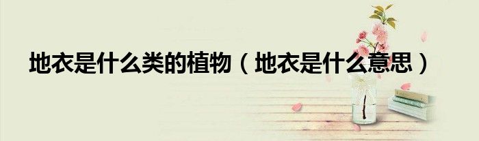 地衣是什么意思(地衣是什么类的植物)