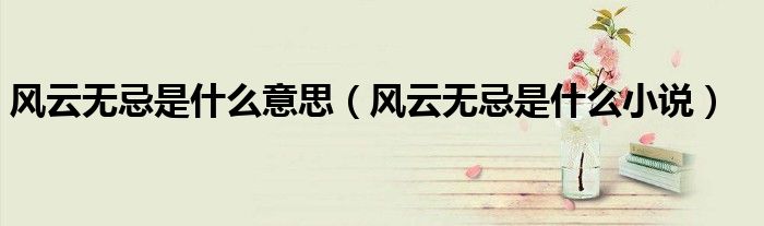 风云无忌是什么小说(风云无忌是什么意思)