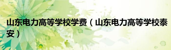 山东电力高等学校泰安(山东电力高等学校学费)