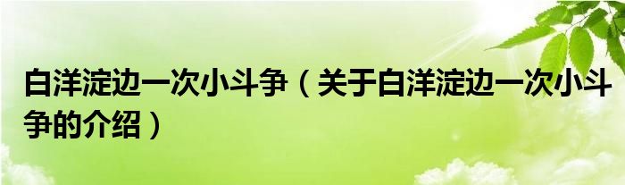 关于白洋淀边一次小斗争的介绍(白洋淀边一次小斗争)