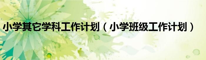 小学班级工作计划(小学其它学科工作计划)