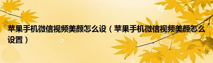 苹果手机微信视频美颜怎么设置(苹果手机微信视频美颜怎么设)