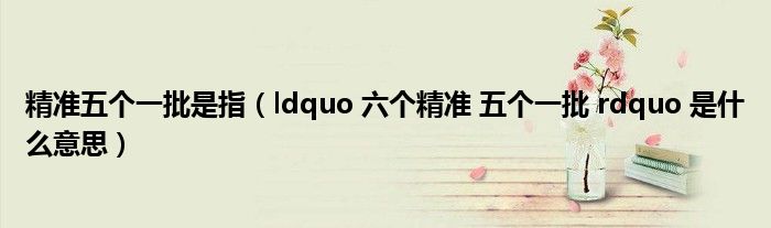 ldquo 六个精准 五个一批 rdquo 是什么意思(精准五个一批是指)