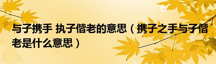携子之手与子偕老是什么意思(与子携手 执子偕老的意思)