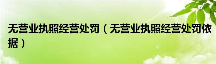 无营业执照经营处罚依据(无营业执照经营处罚)
