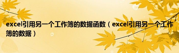 excel引用另一个工作簿的数据(excel引用另一个工作簿的数据函数)
