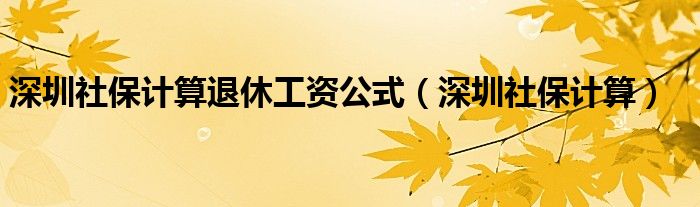 深圳社保计算(深圳社保计算退休工资公式)