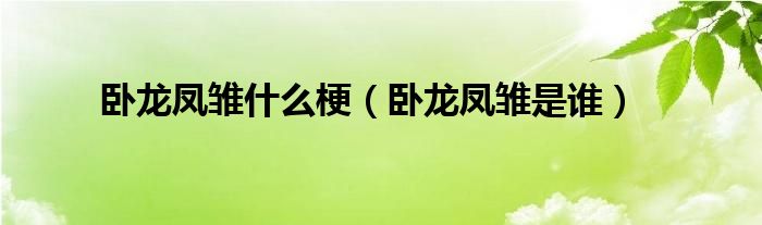 卧龙凤雏是谁(卧龙凤雏什么梗)