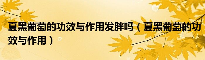 夏黑葡萄的功效与作用(夏黑葡萄的功效与作用发胖吗)