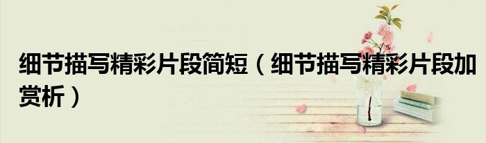 细节描写精彩片段加赏析(细节描写精彩片段简短)