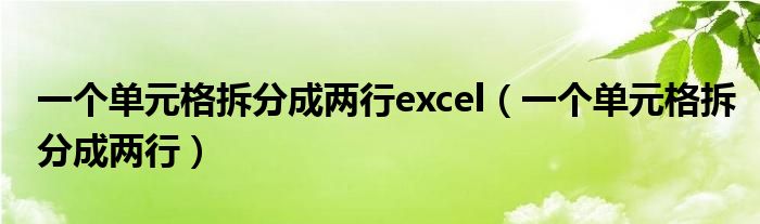 一个单元格拆分成两行(一个单元格拆分成两行excel)