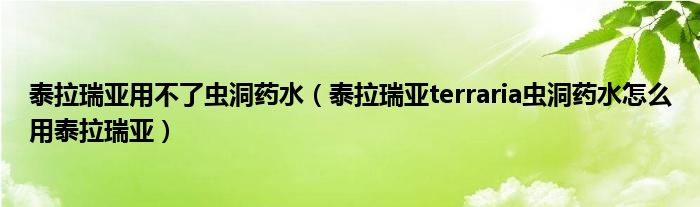 泰拉瑞亚terraria虫洞药水怎么用泰拉瑞亚(泰拉瑞亚用不了虫洞药水)