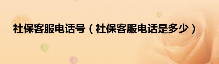 社保客服电话是多少(社保客服电话号)