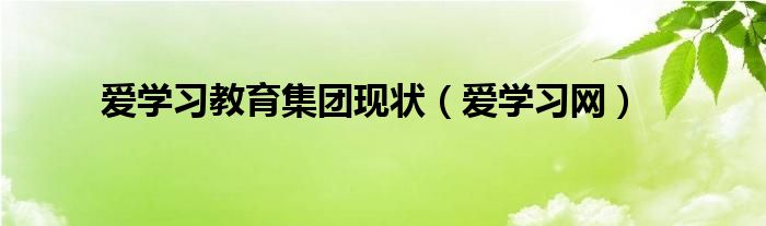 爱学习网(爱学习教育集团现状)