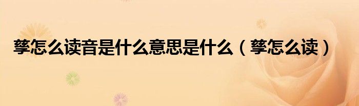 孳怎么读(孳怎么读音是什么意思是什么)