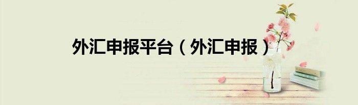 外汇申报(外汇申报平台)