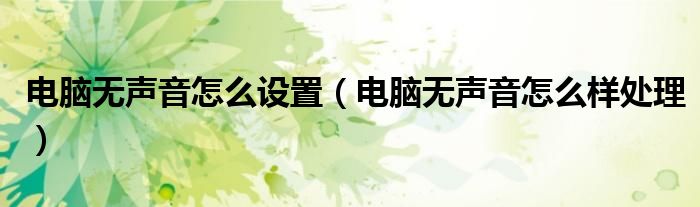 电脑无声音怎么样处理(电脑无声音怎么设置)