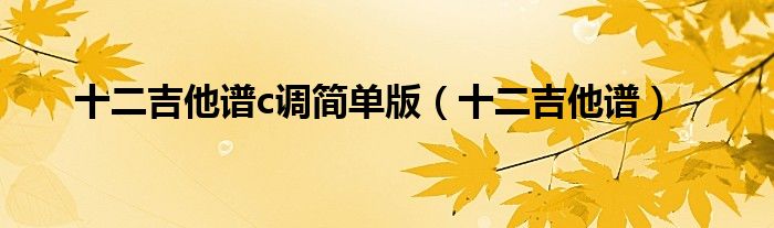 十二吉他谱(十二吉他谱c调简单版)