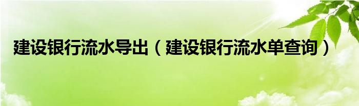 建设银行流水单查询(建设银行流水导出)