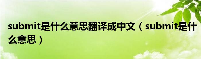 submit是什么意思(submit是什么意思翻译成中文)