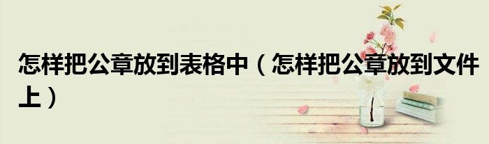 怎样把公章放到文件上(怎样把公章放到表格中)
