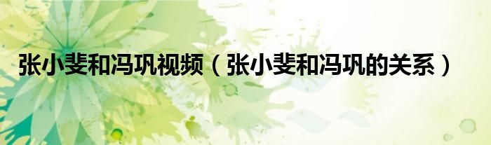 张小斐和冯巩的关系(张小斐和冯巩视频)