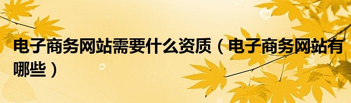 电子商务网站有哪些(电子商务网站需要什么资质)
