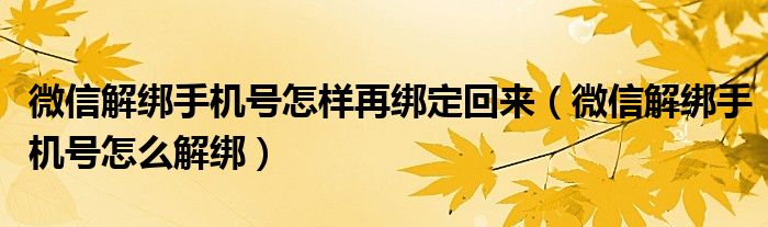 微信解绑手机号怎么解绑(微信解绑手机号怎样再绑定回来)