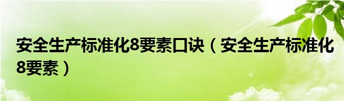 安全生产标准化8要素(安全生产标准化8要素口诀)