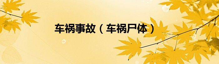 车祸尸体(车祸事故)