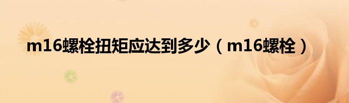 m16螺栓(m16螺栓扭矩应达到多少)